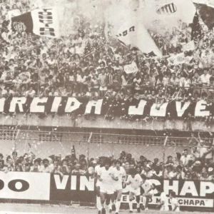 Torcida Jovem, Com o Santos onde e como ele estiver