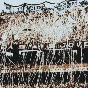 torcida jovem do santos fc (3)