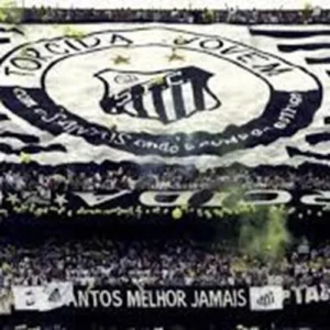 torcida jovem do santos fc (6)