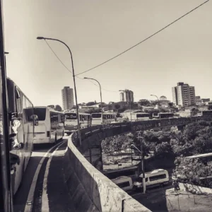 Torcida Jovem, Com o Santos onde e como ele estiver
